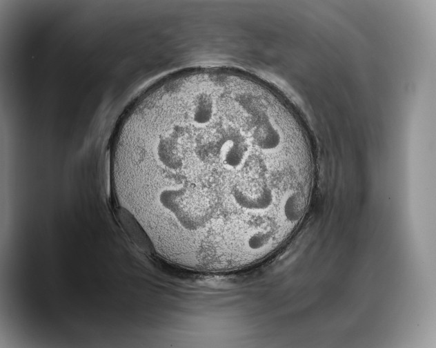 X0000089671175200707201633