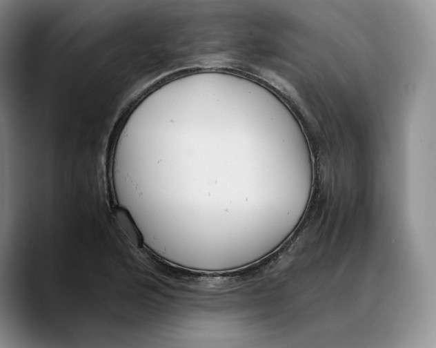 X0000089671176200707201633