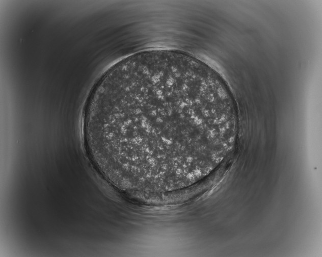 X0000089671179200707201633