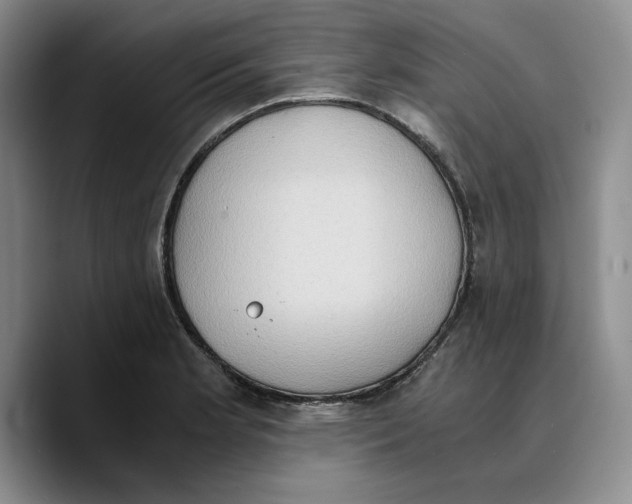 X0000089671181200707201633