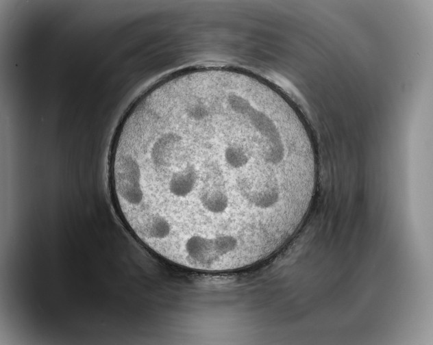 X0000089671183200707201633