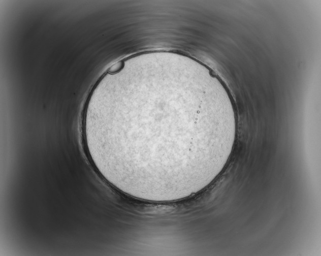 X0000089671187200707201633