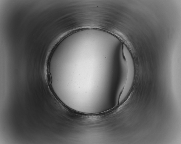 X0000089671188200707201633