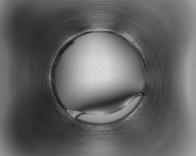 X0000089671189200707201633