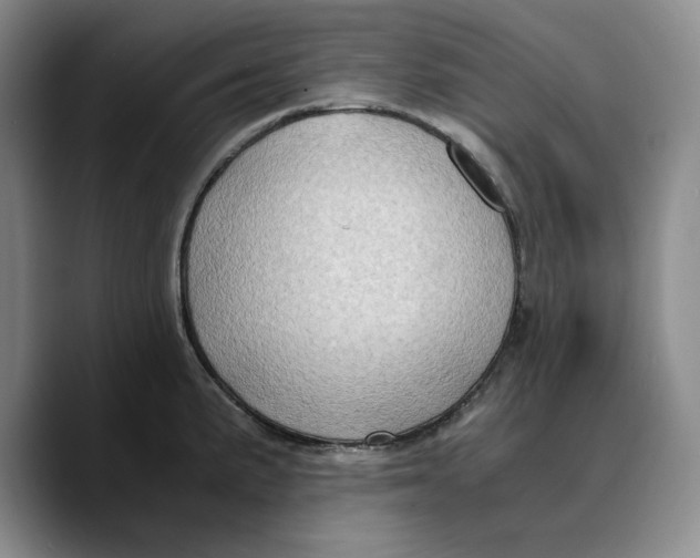 X0000089671191200707201633