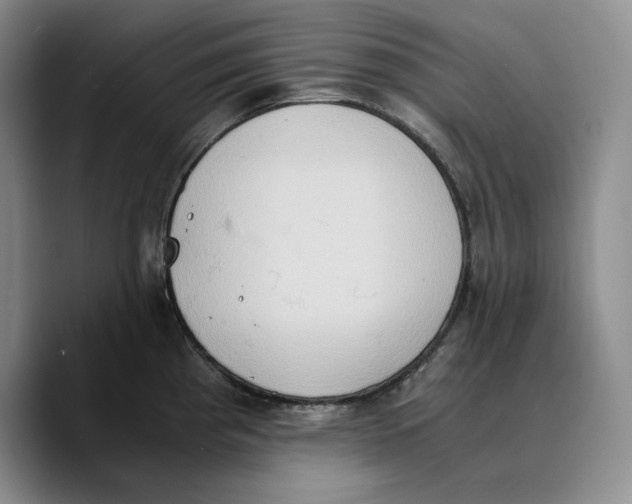 X0000089671193200707201633