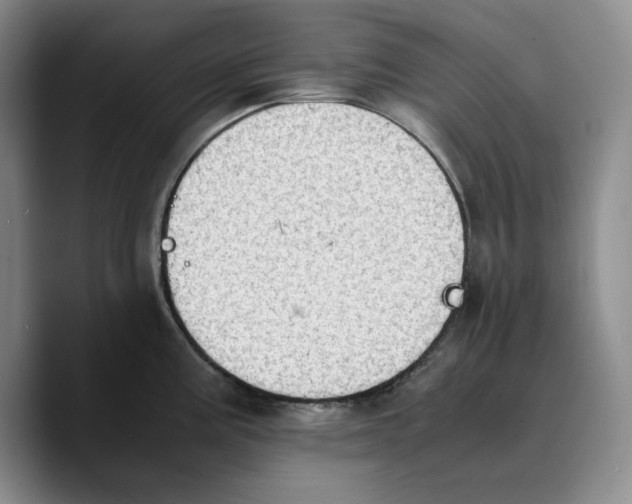 X0000089671195200707201633