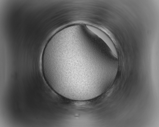 X0000089671199200707201633