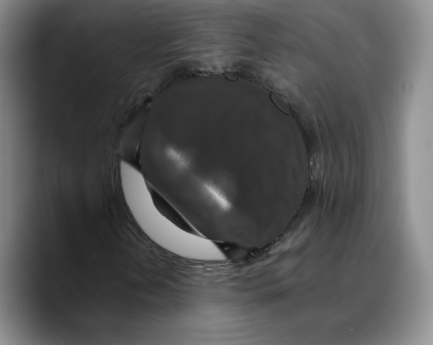 X0000089671202200707201632