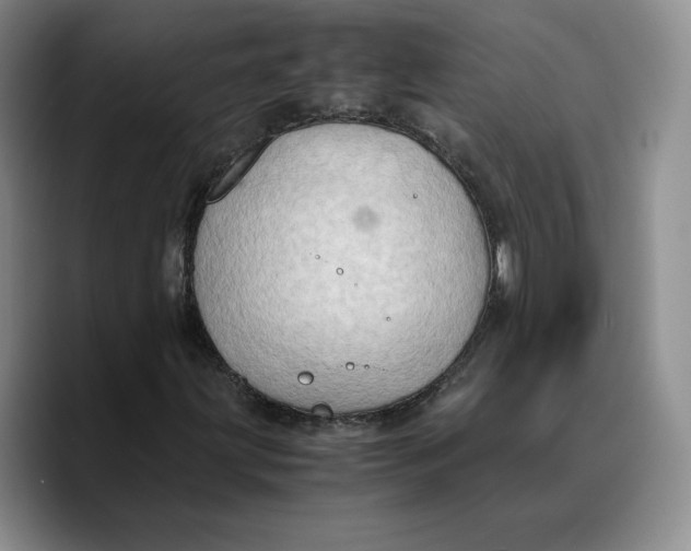 X0000089671203200707201632