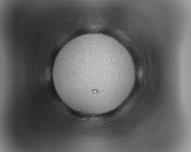 X0000089671204200707201632