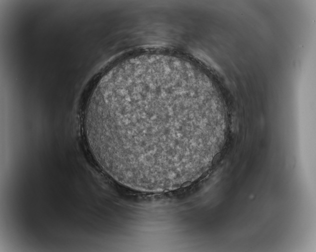 X0000089671208200707201632