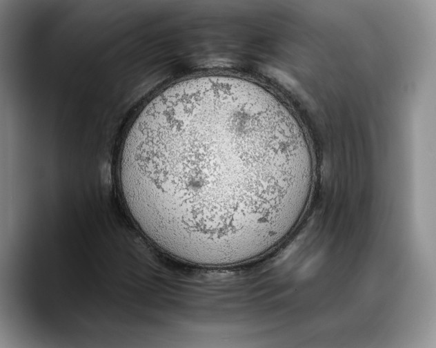 X0000089671209200707201632