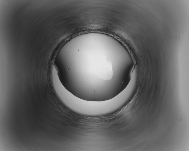 X0000089671210200707201632