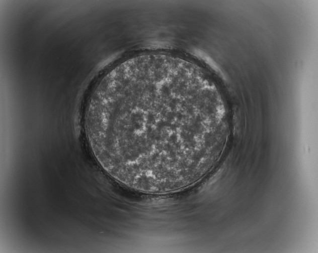 X0000089671213200707201632