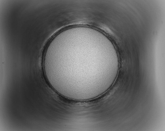 X0000089671216200707201632