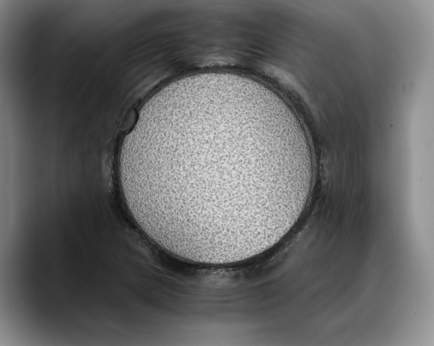 X0000089671217200707201632