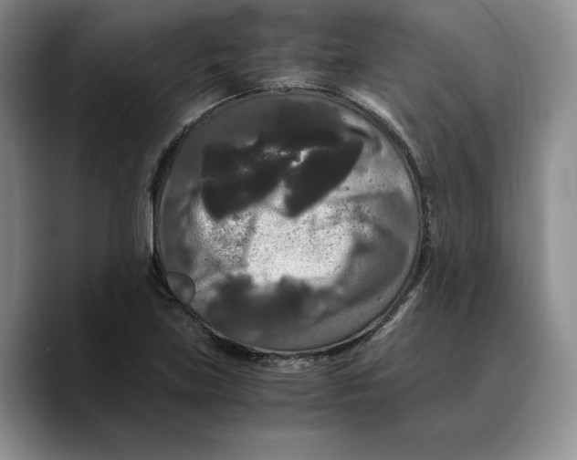 X0000089671219200707201632