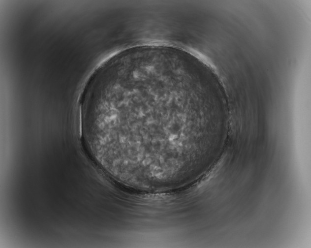 X0000089671223200707201632