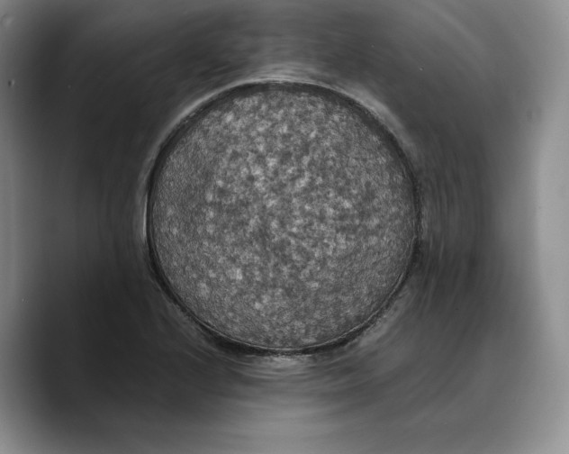 X0000089671224200707201632