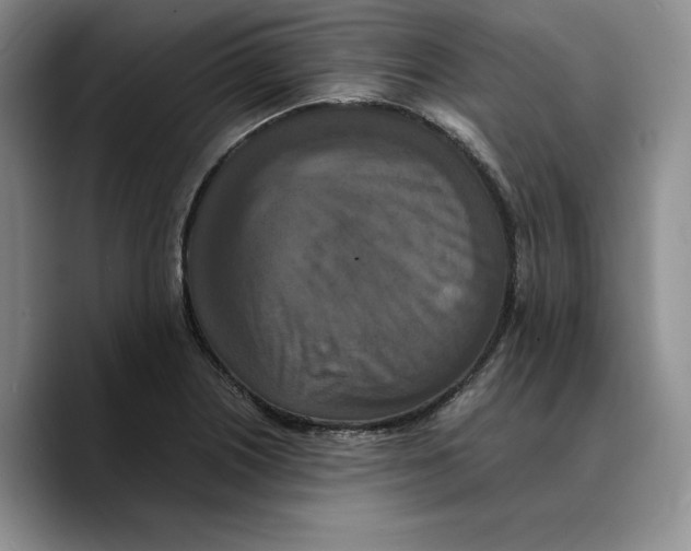 X0000089671226200707201632