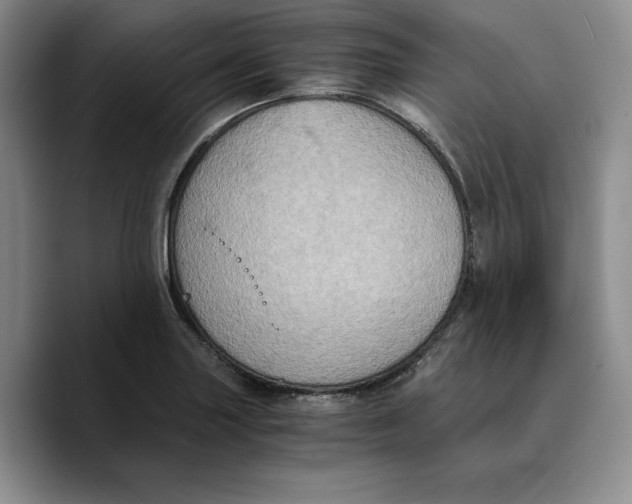 X0000089671227200707201632