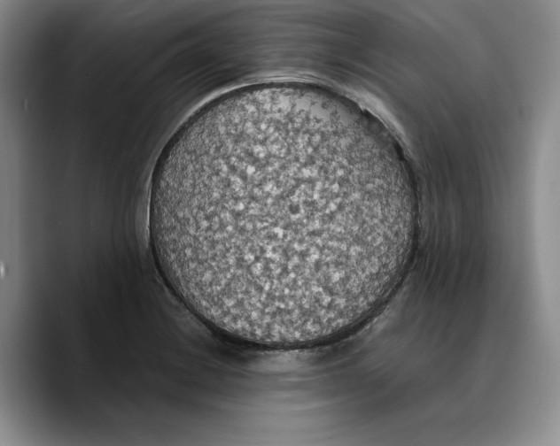 X0000089671228200707201632