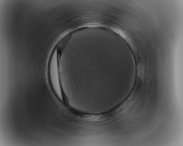 X0000089671229200707201632