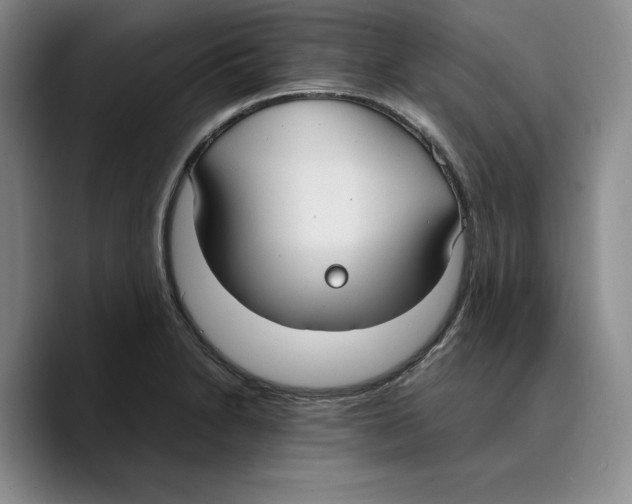 X0000089671230200707201632