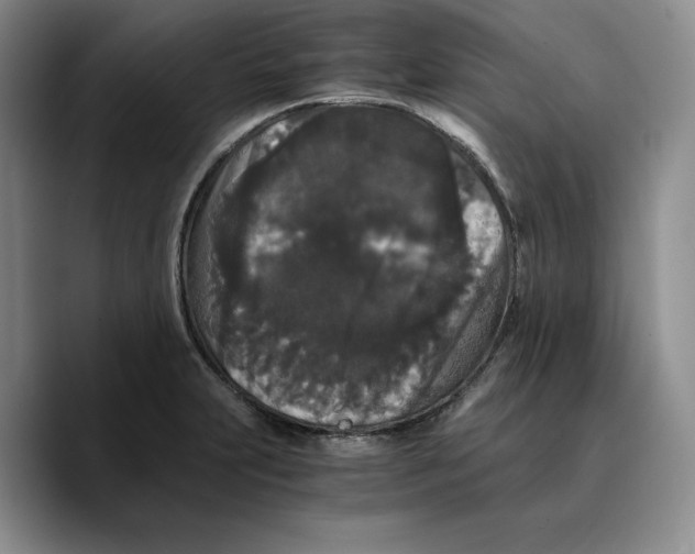 X0000089671231200707201632