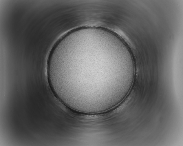 X0000089671232200707201632