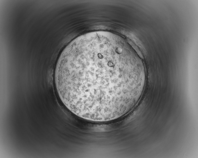 X0000089671233200707201632