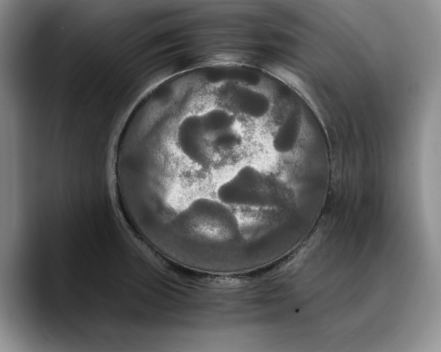 X0000089671235200707201632