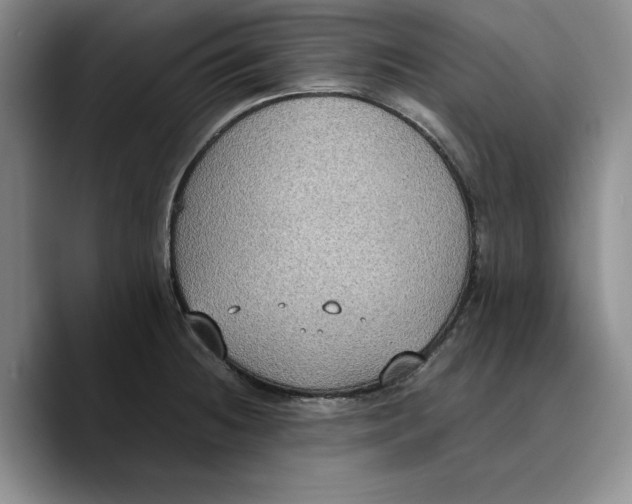 X0000089671236200707201632