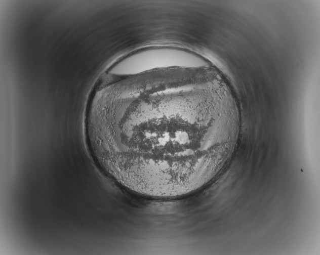 X0000089671237200707201632