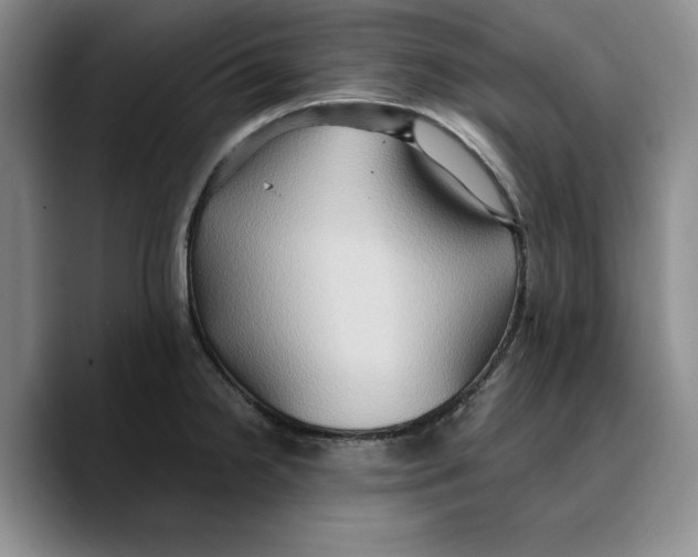 X0000089671238200707201632