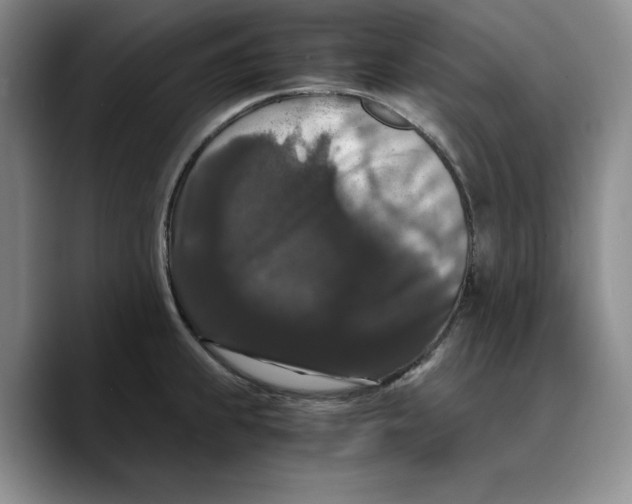 X0000089671239200707201632