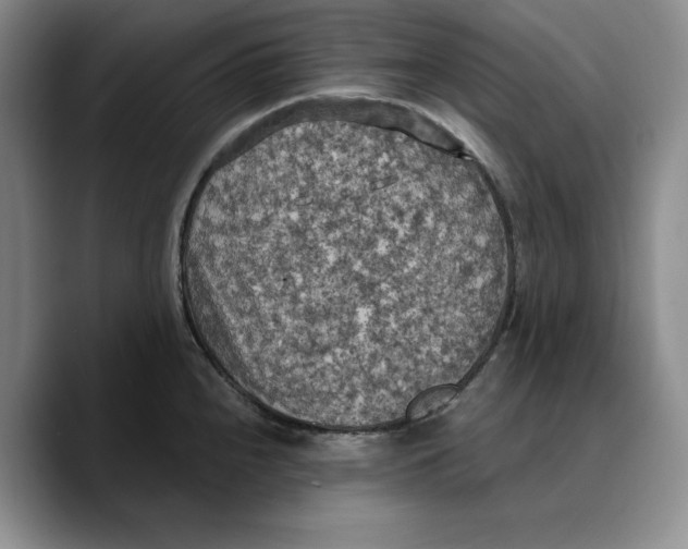 X0000089671240200707201632