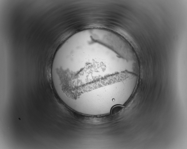 X0000089671241200707201632