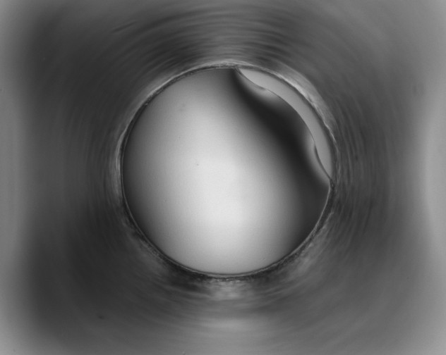 X0000089671242200707201632