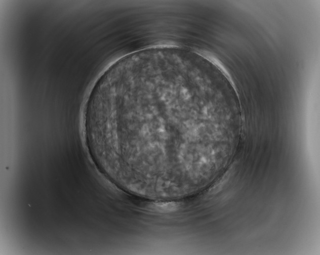 X0000089671243200707201632