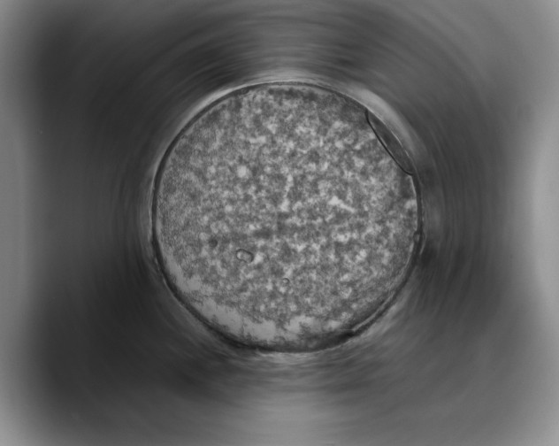 X0000089671244200707201632