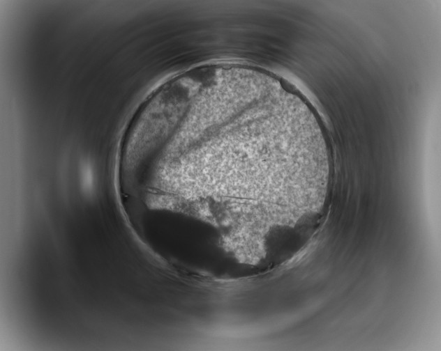 X0000089671245200707201632