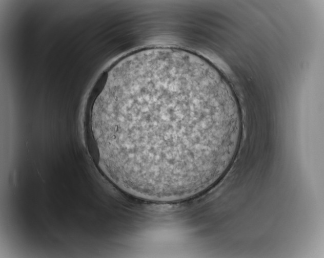 X0000089671248200707201633