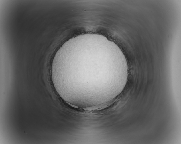 X0000089671249200707201632