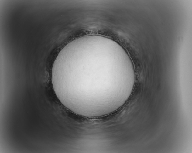 X0000089671253200707201632