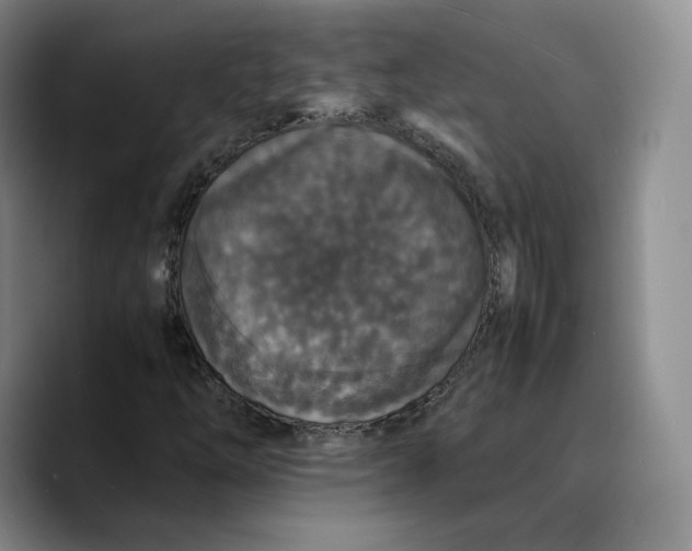 X0000089671254200707201632