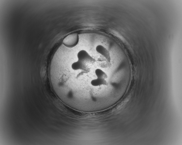 X0000089671259200707201632