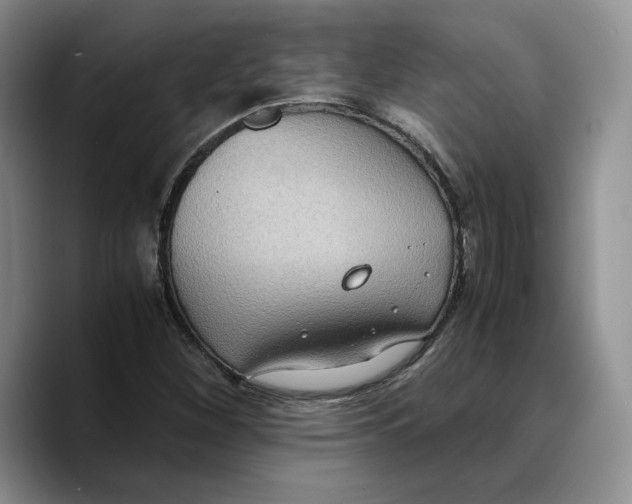 X0000089671260200707201632