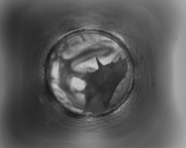 X0000089671263200707201632